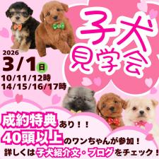 矢込晴菜ブリーダー