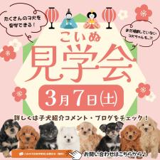 平ほの花ブリーダー