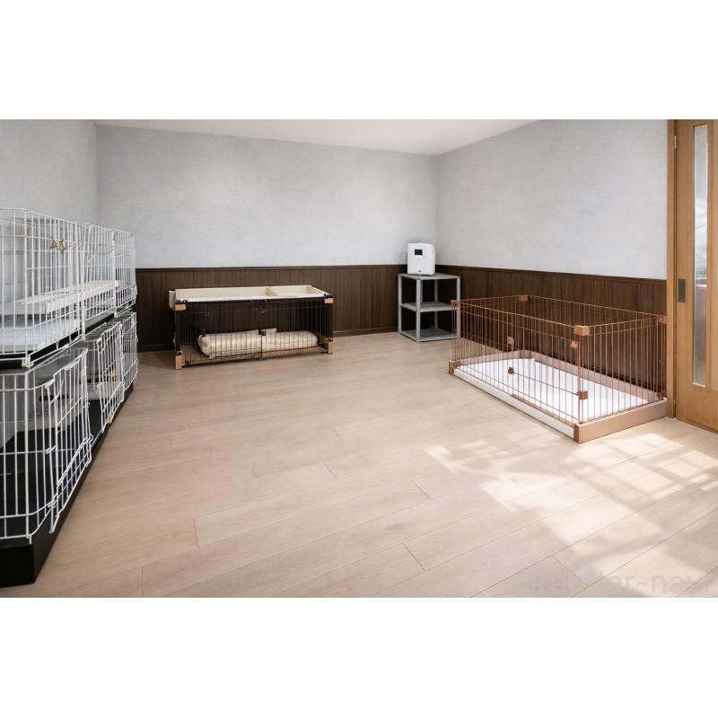 犬舎紹介の茨城県の犬舎紹介-3117の3枚目