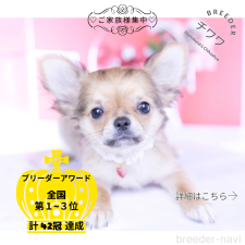 オンライン見学