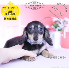 オンライン見学