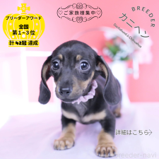 オンライン見学