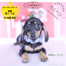 オンライン見学