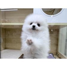 オンライン見学