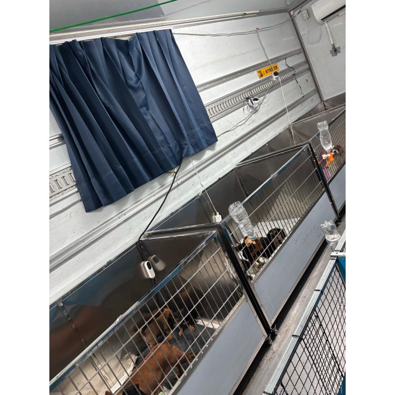 犬舎紹介の愛知県の犬舎紹介-4524の5枚目