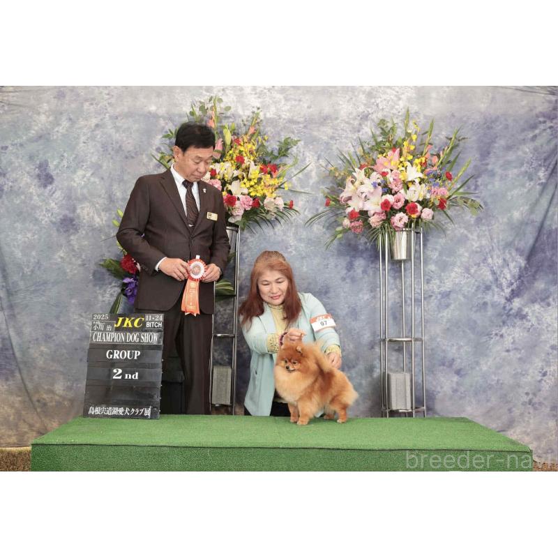 犬舎紹介の兵庫県の犬舎紹介-4657の2枚目