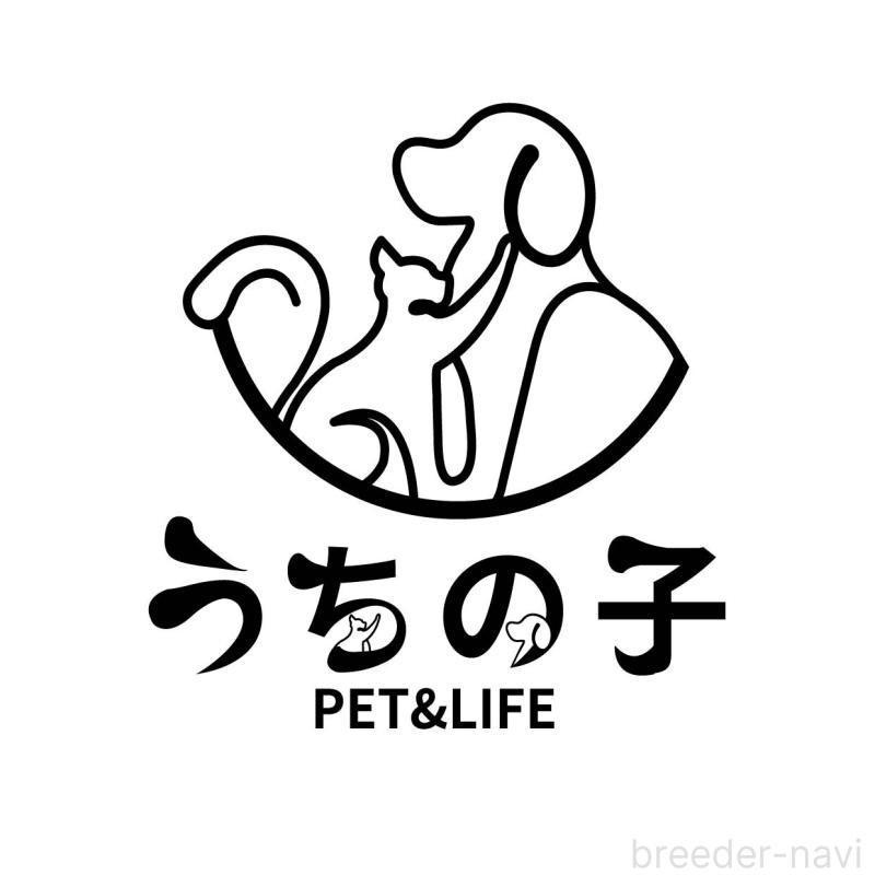 徐海洋ブリーダーの詳細の1枚目