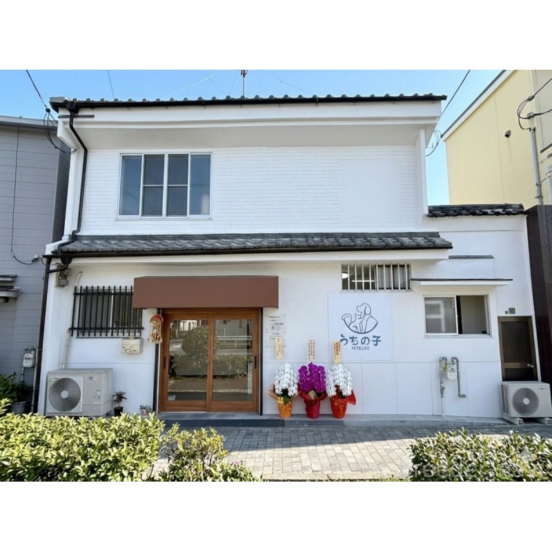 徐海洋ブリーダーの詳細