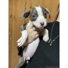 オンライン見学