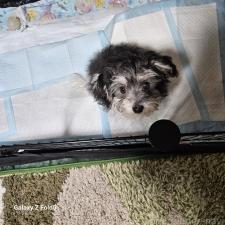 オンライン見学