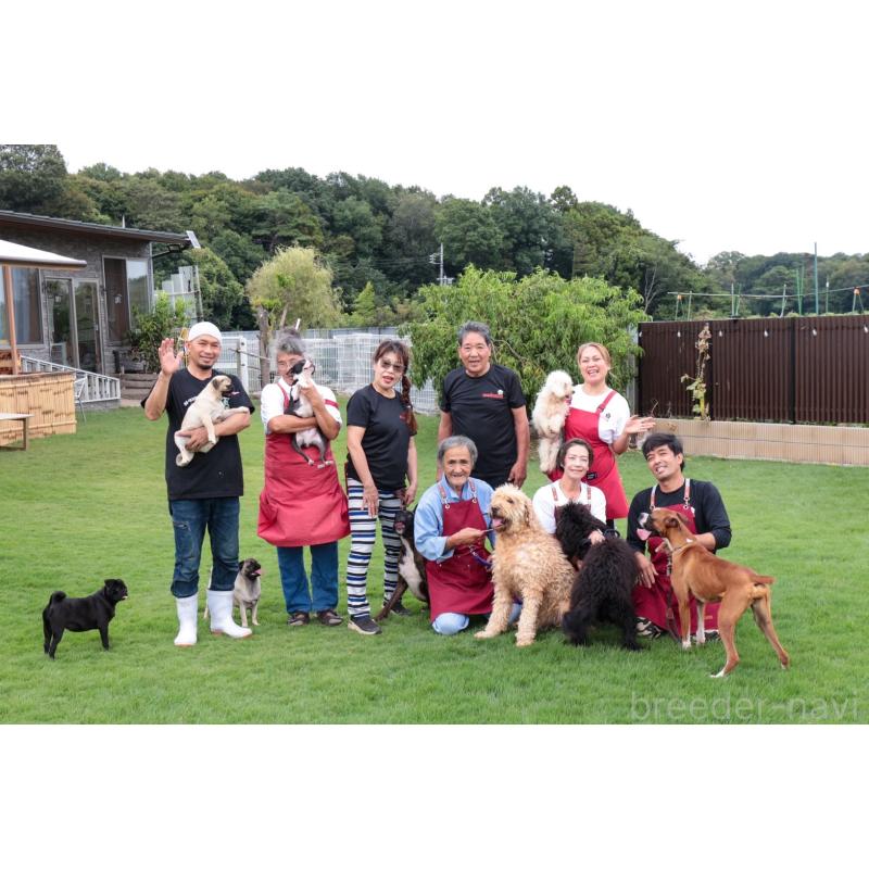 犬舎紹介の茨城県の犬舎紹介-761の2枚目