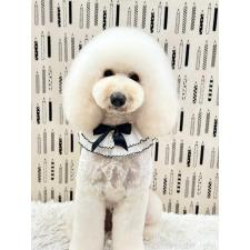 松木祐美子ブリーダー