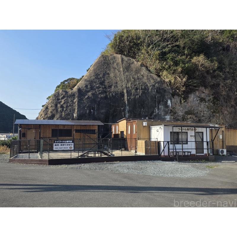 犬舎紹介の山口県の犬舎紹介-3903の4枚目