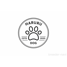 早川直子ブリーダー