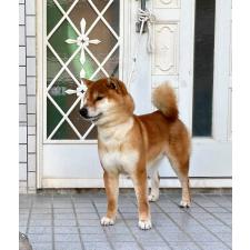 寿崎輝行ブリーダー