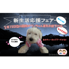 岡田英二ブリーダー