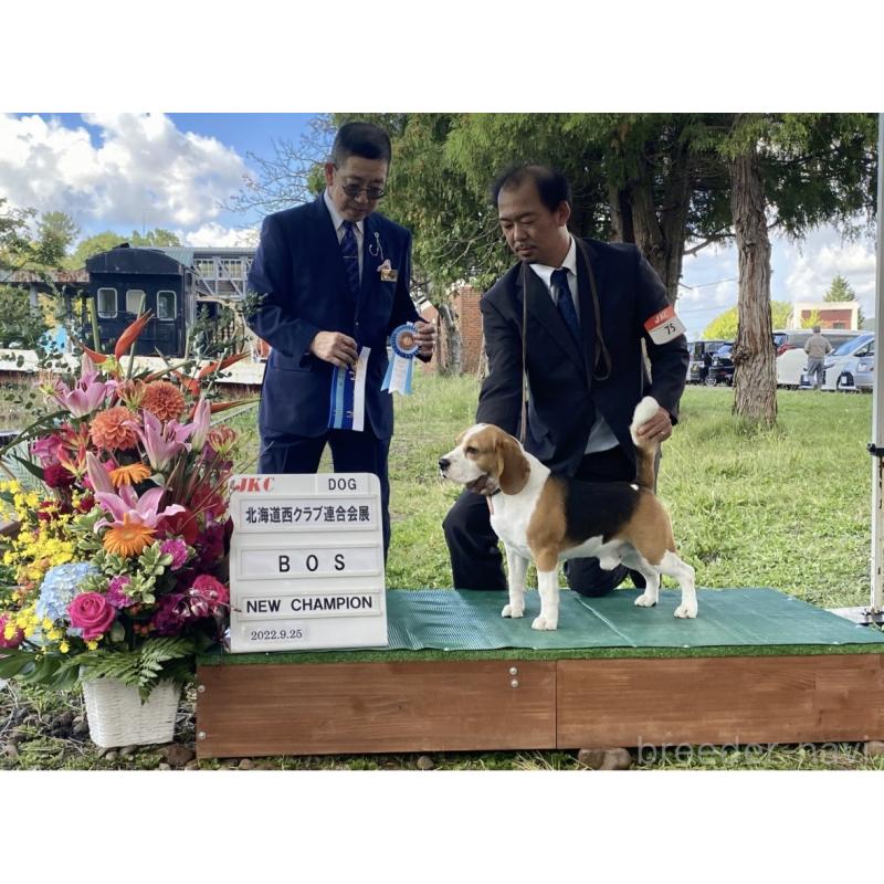 犬舎紹介の北海道の犬舎紹介-2665の2枚目