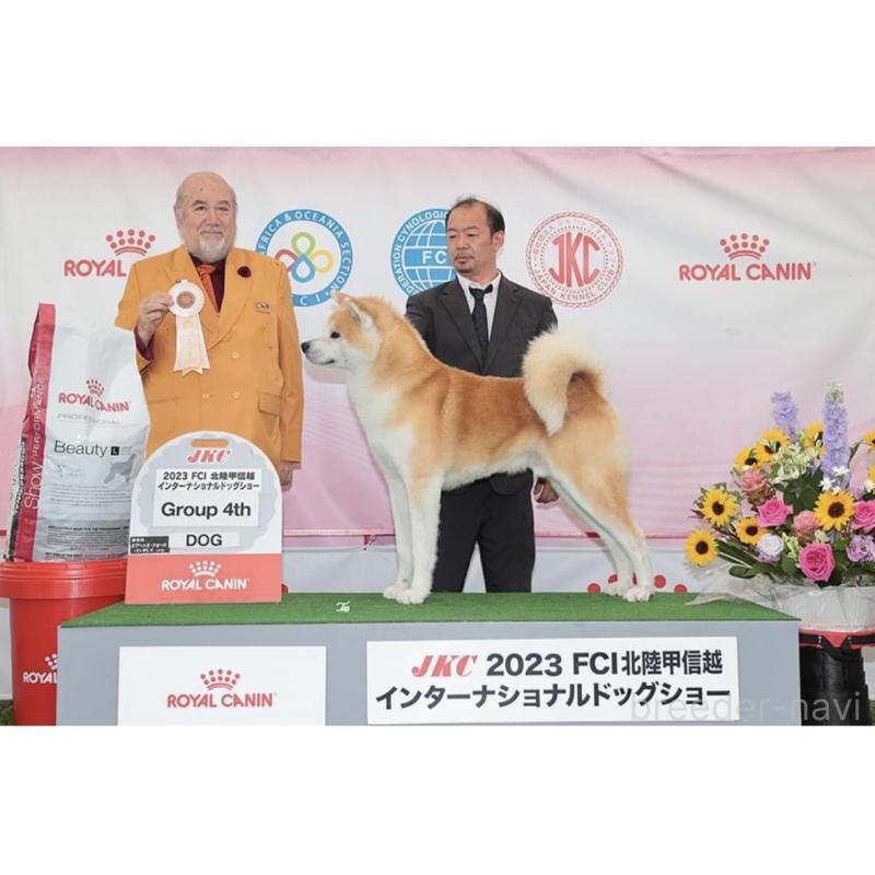 犬舎紹介の北海道の犬舎紹介-2665の4枚目