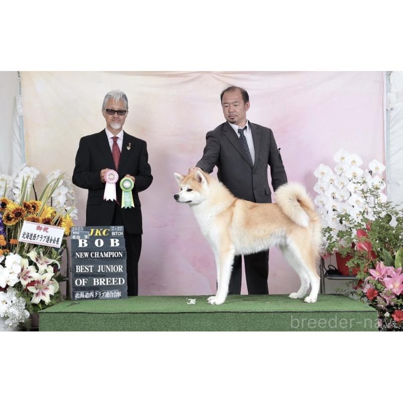 犬舎紹介の北海道の犬舎紹介-2665の3枚目