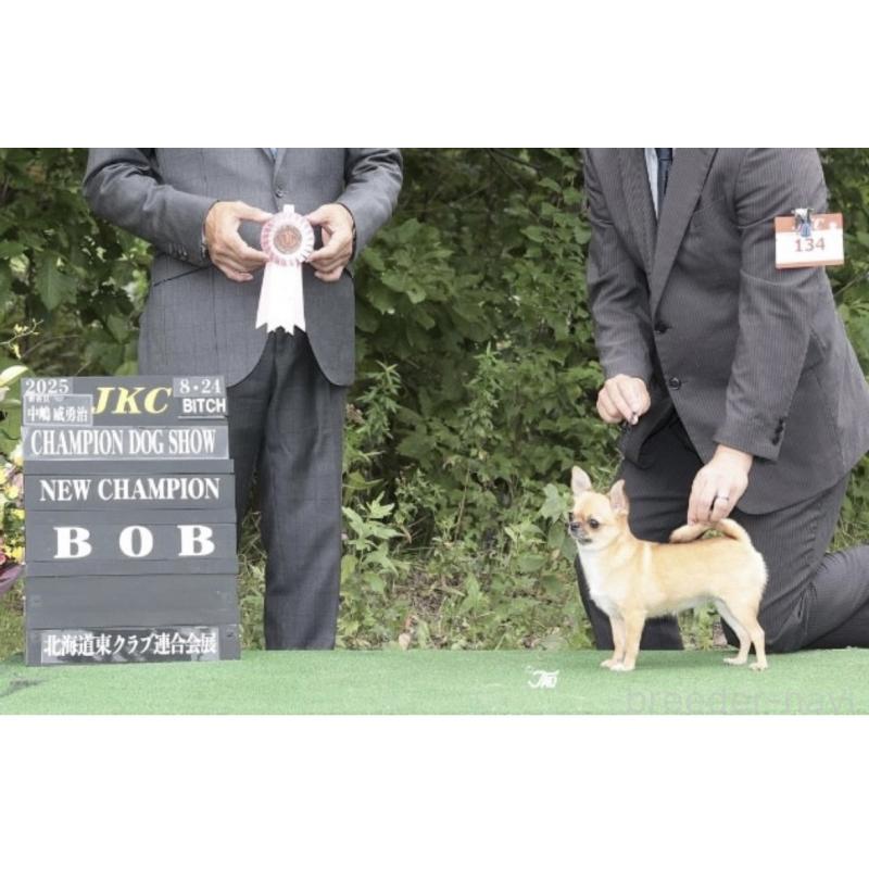 犬舎紹介の北海道の犬舎紹介-2665の5枚目