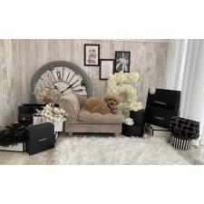 中村ひとみブリーダー