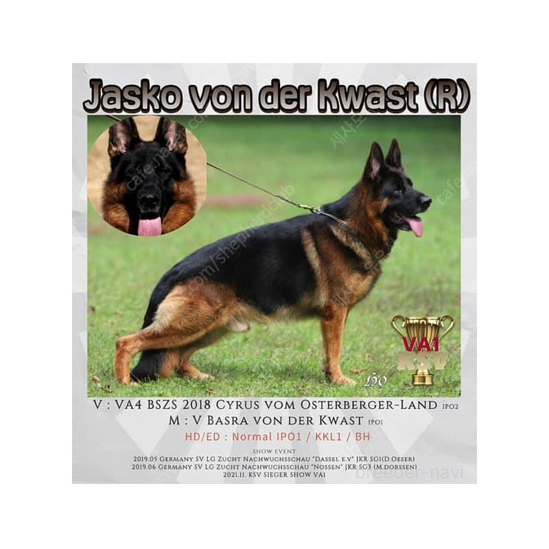 犬舎紹介の香川県の犬舎紹介-3220の4枚目