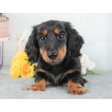 オンライン見学