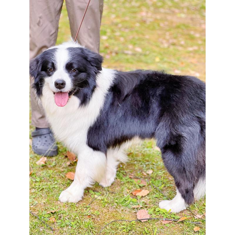 マシュマロくん2枚目