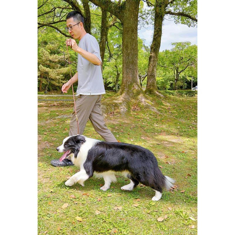 マシュマロくん6枚目