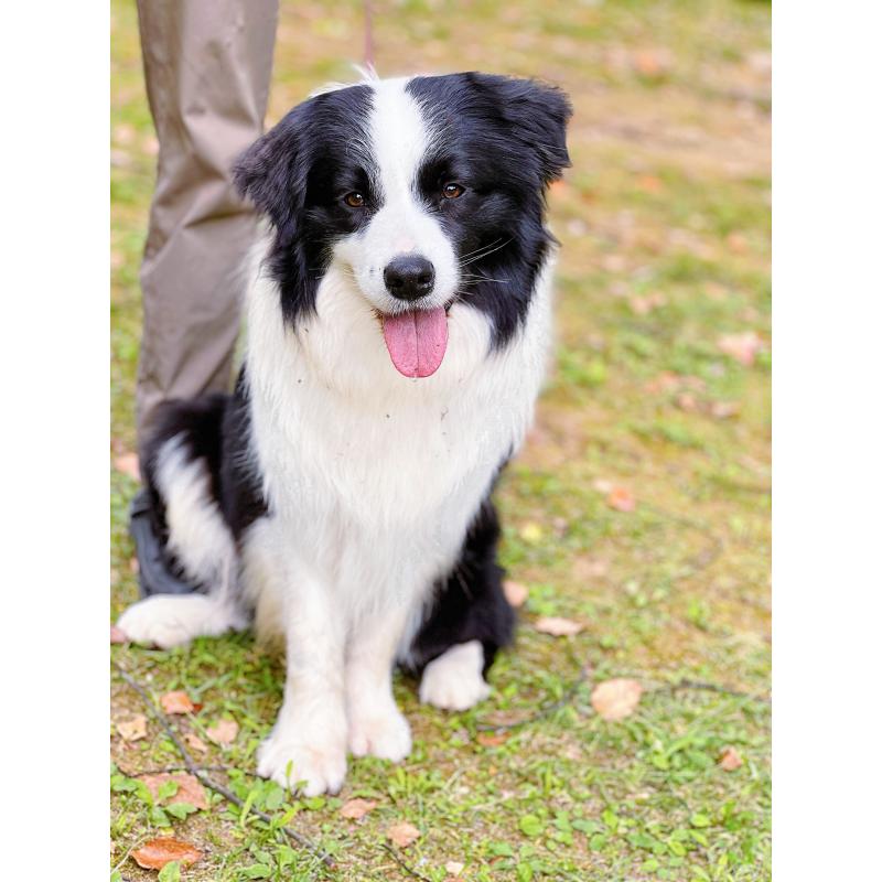 マシュマロくん7枚目