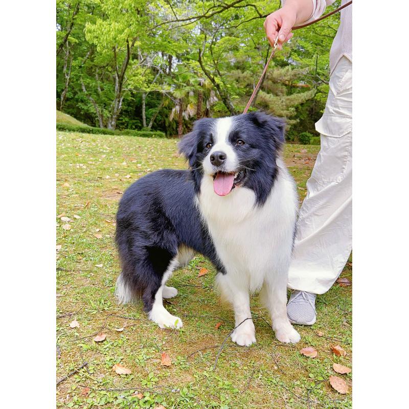 マシュマロくん8枚目