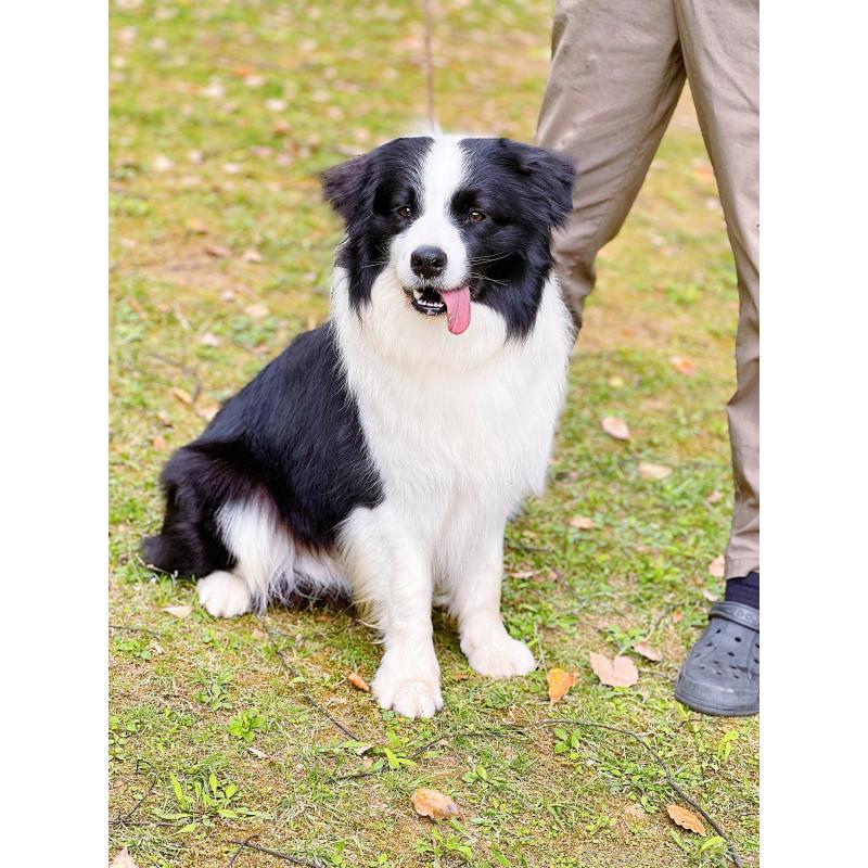 マシュマロくん9枚目