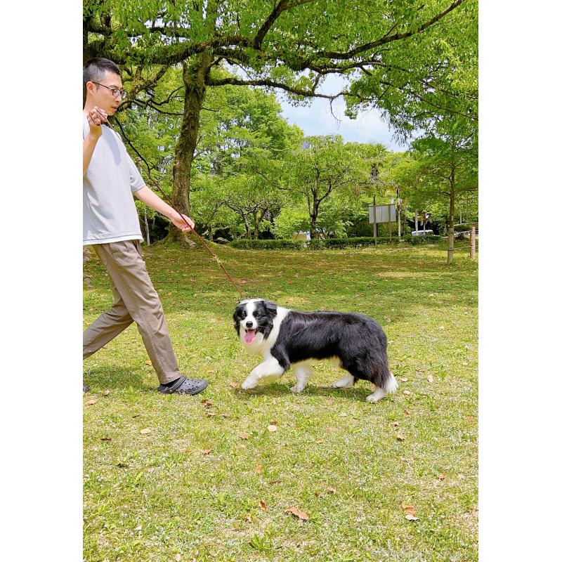 マシュマロくん11枚目