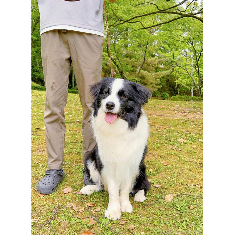 マシュマロくん12枚目