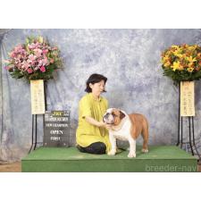 尾野美希ブリーダー