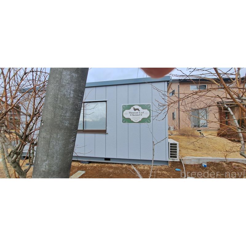 犬舎紹介の茨城県の犬舎紹介-5445の4枚目