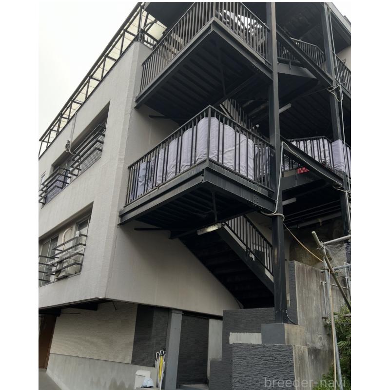 犬舎紹介の大阪府の犬舎紹介-5443の5枚目