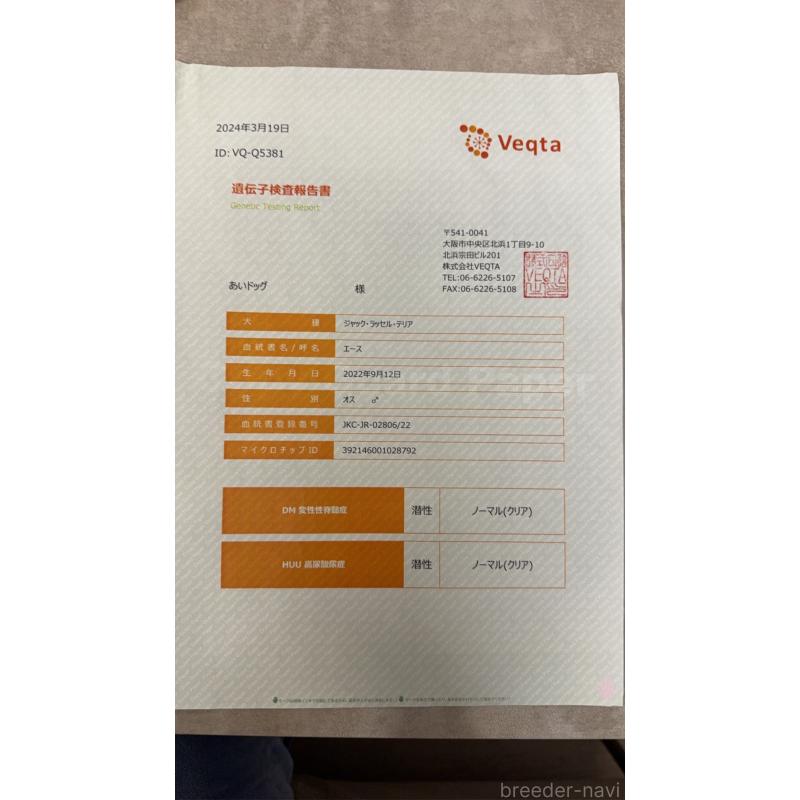 エースくん2枚目