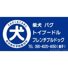 金子晴美ブリーダー