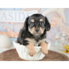 オンライン見学