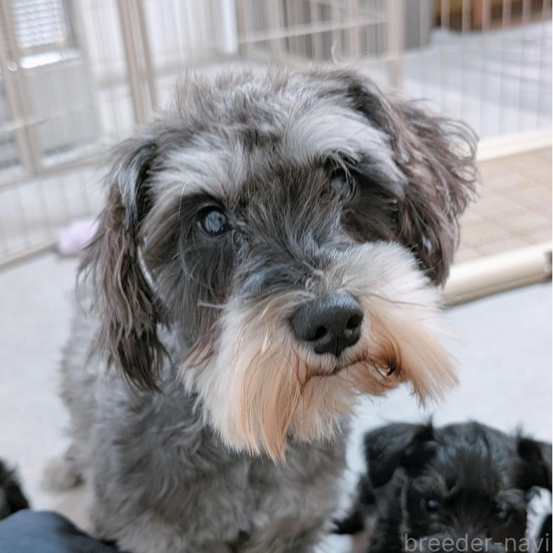 ヨルちゃん2枚目