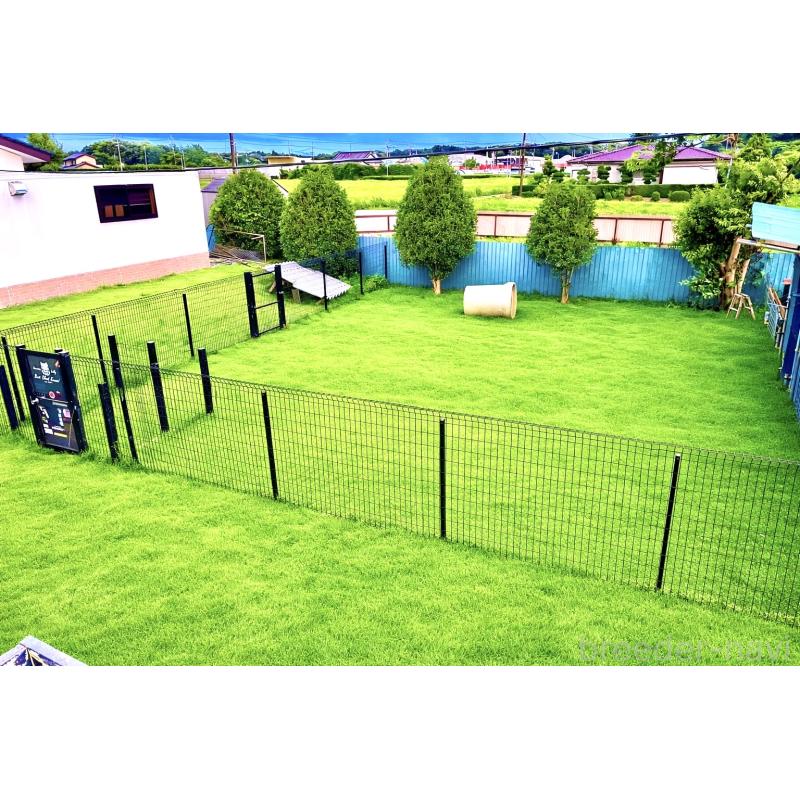 犬舎紹介の茨城県の犬舎紹介-3047の3枚目