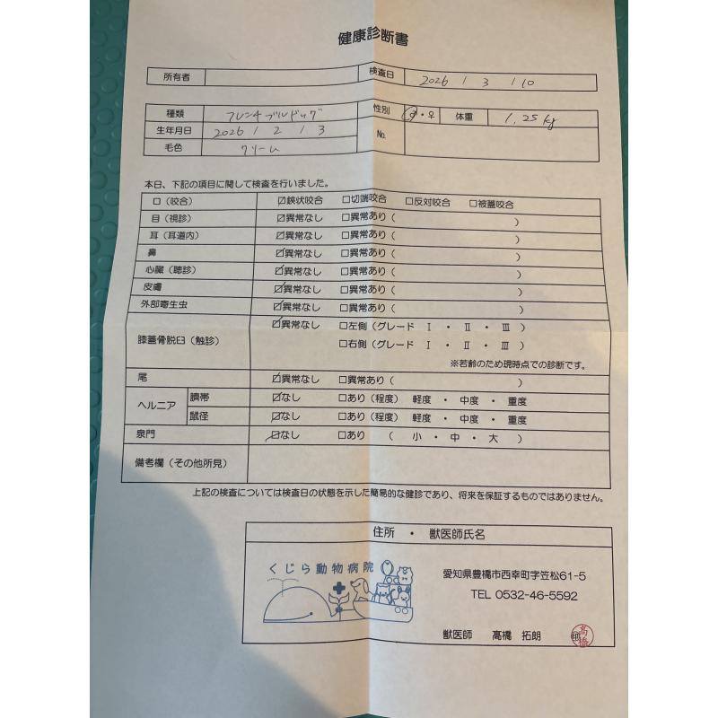 商談中の静岡県のフレンチブルドッグ-444315の2枚目
