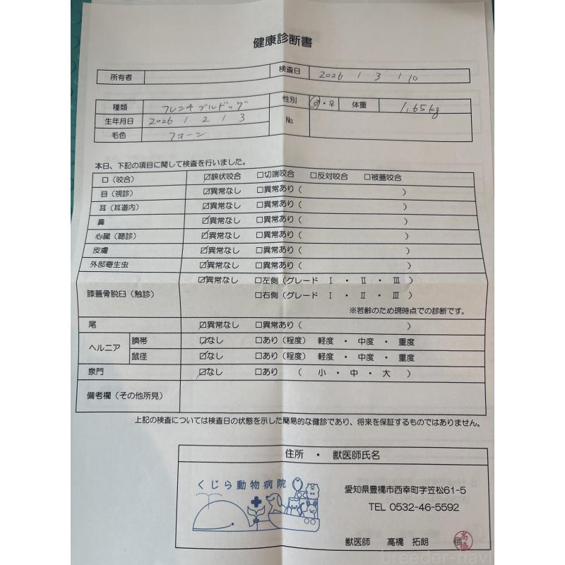 販売中の静岡県のフレンチブルドッグ-444318の5枚目