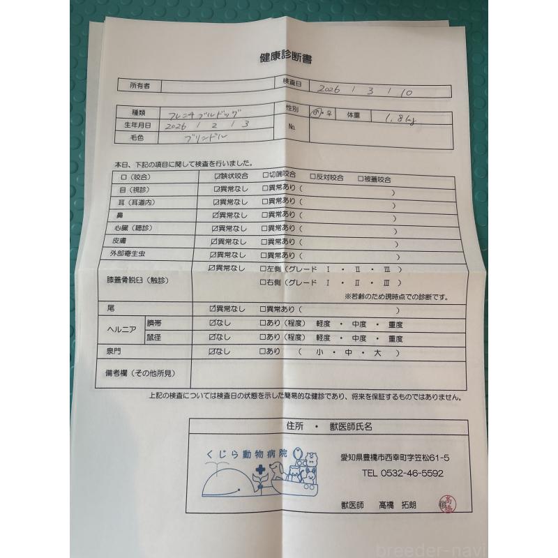 販売中の静岡県のフレンチブルドッグ-444320の6枚目