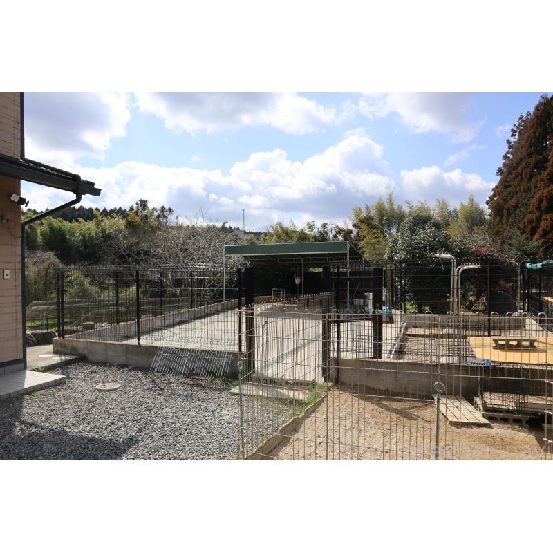 犬舎紹介の滋賀県の犬舎紹介-5448の4枚目