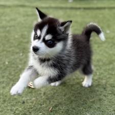 オンライン見学