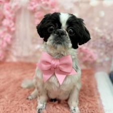 オンライン見学