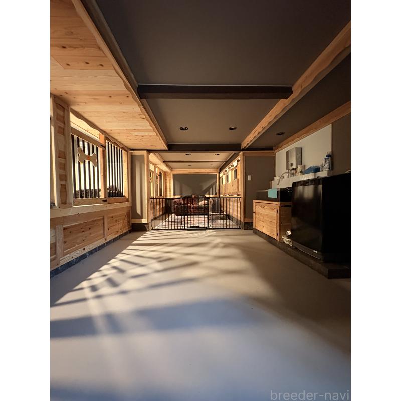 犬舎紹介の大分県の犬舎紹介-3624の4枚目