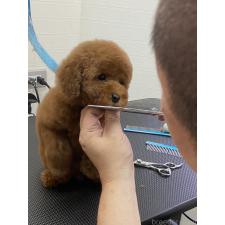 砂川 美佐ブリーダー